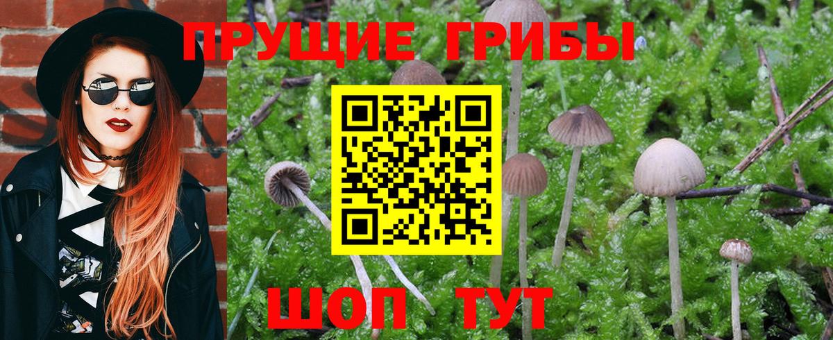 Галлюциногенные грибы GOLDEN TEACHER  Вход с VPN  Печора 