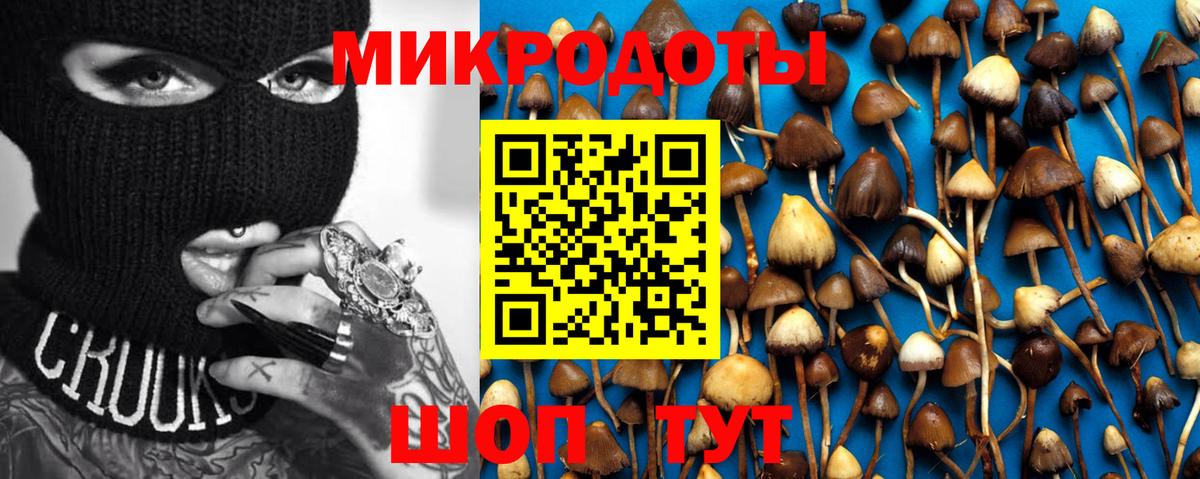 Псилоцибиновые грибы GOLDEN TEACHER Печора